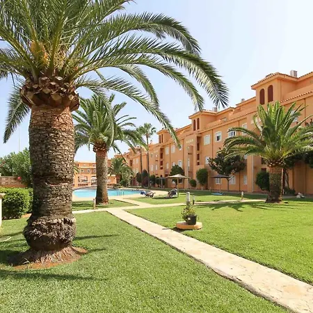 Palm 53 *